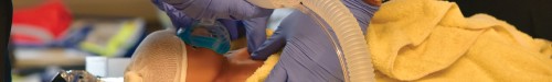 Réanimation néonatale - Délai d'inscription 31 mai 2024