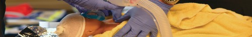 Réanimation néonatale - Délai d'inscription 28 mai 2025